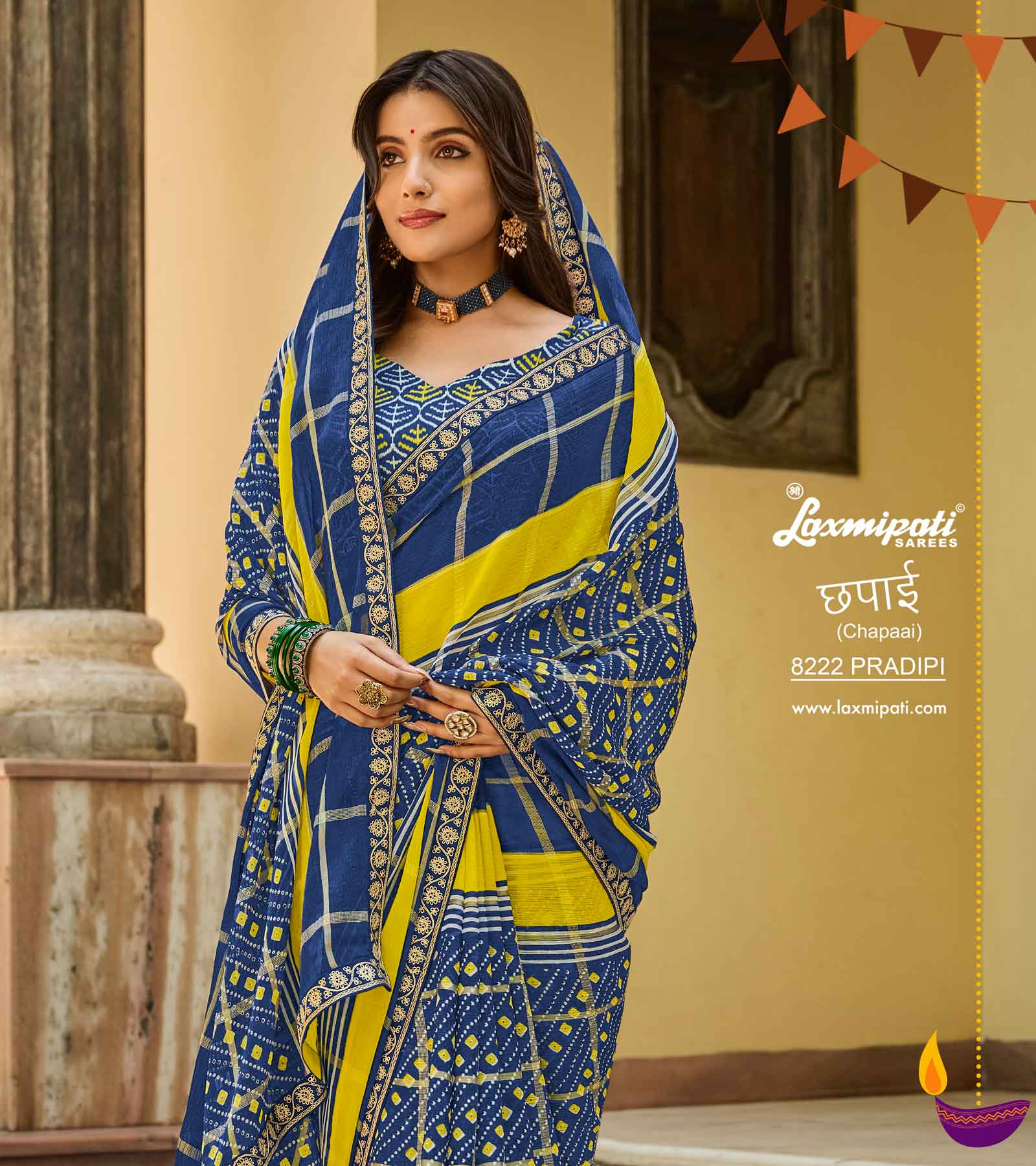 Ready to Wear Laxmipati Chapaai 8222 Chiffon Checks Multicolor Saree