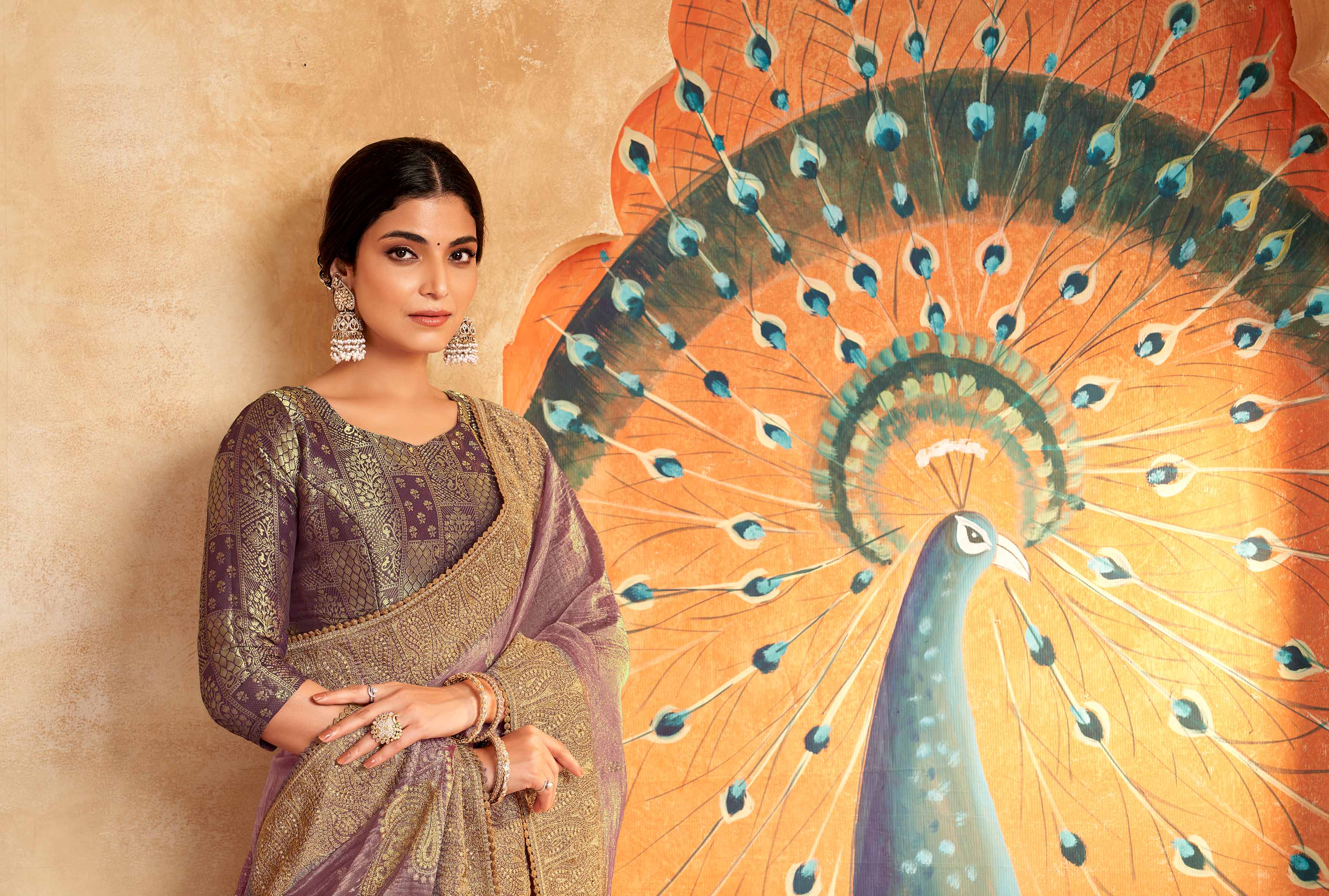 Border work designer saree