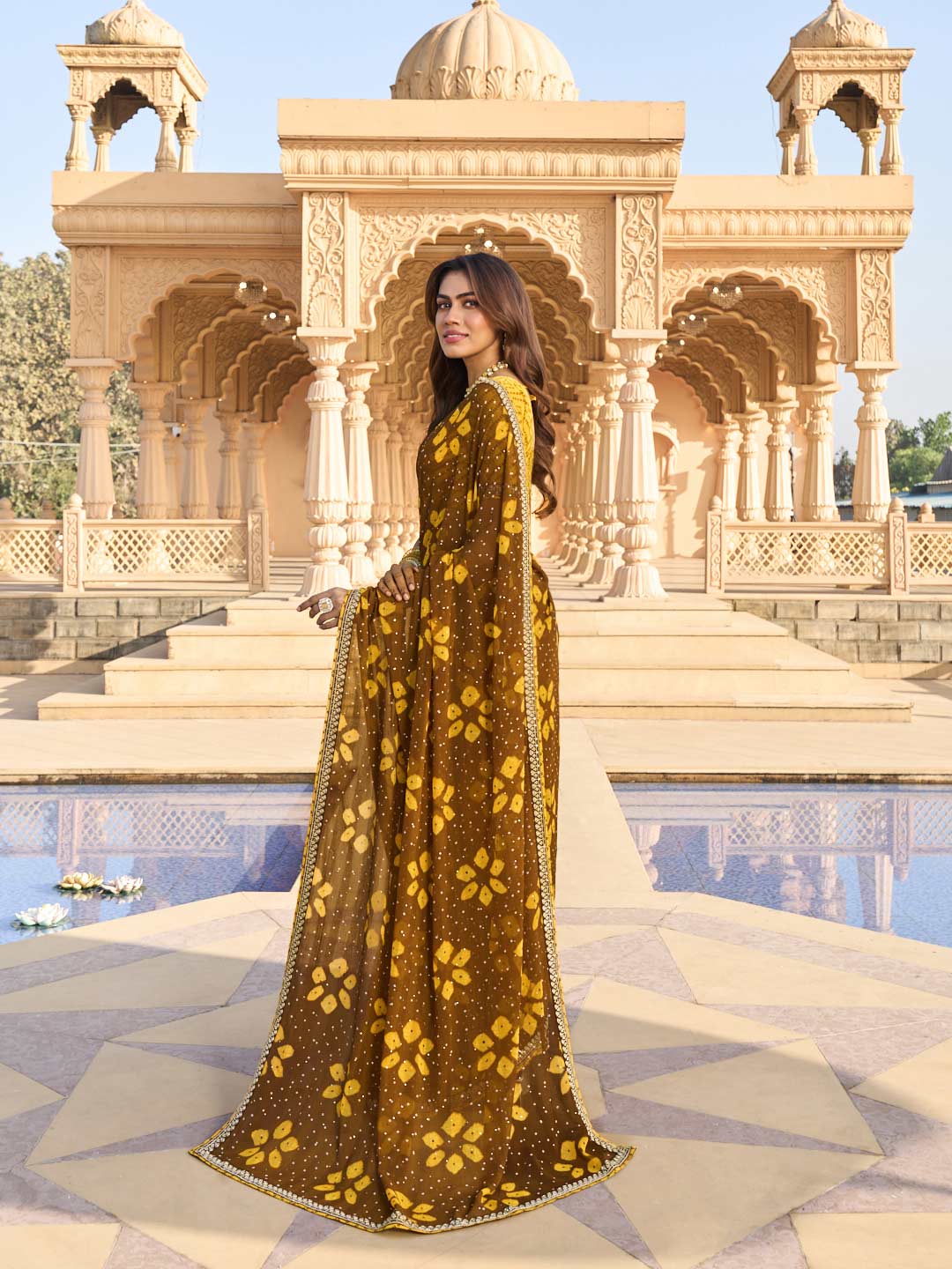 Brown saree with mustard silk blouse
