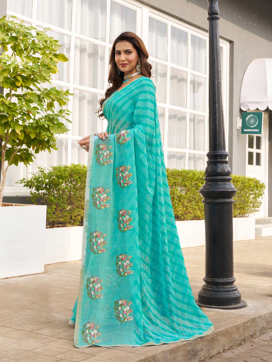 elegant party saree
