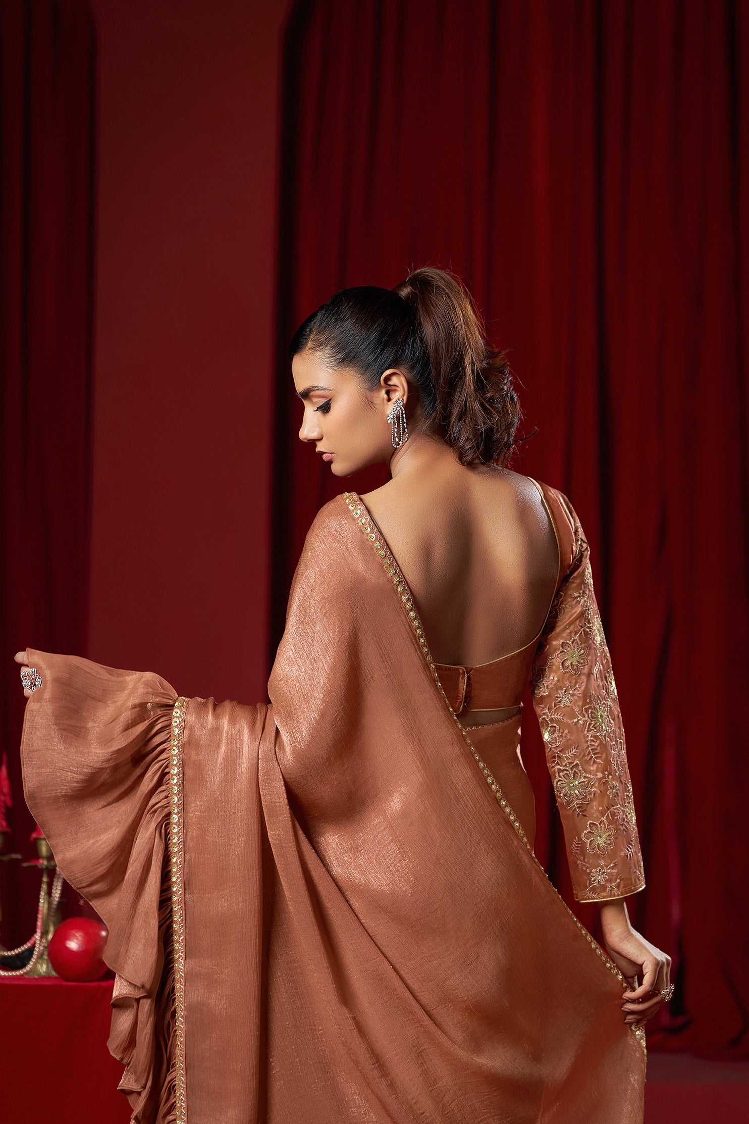 Brown Fancy Blouse Saree