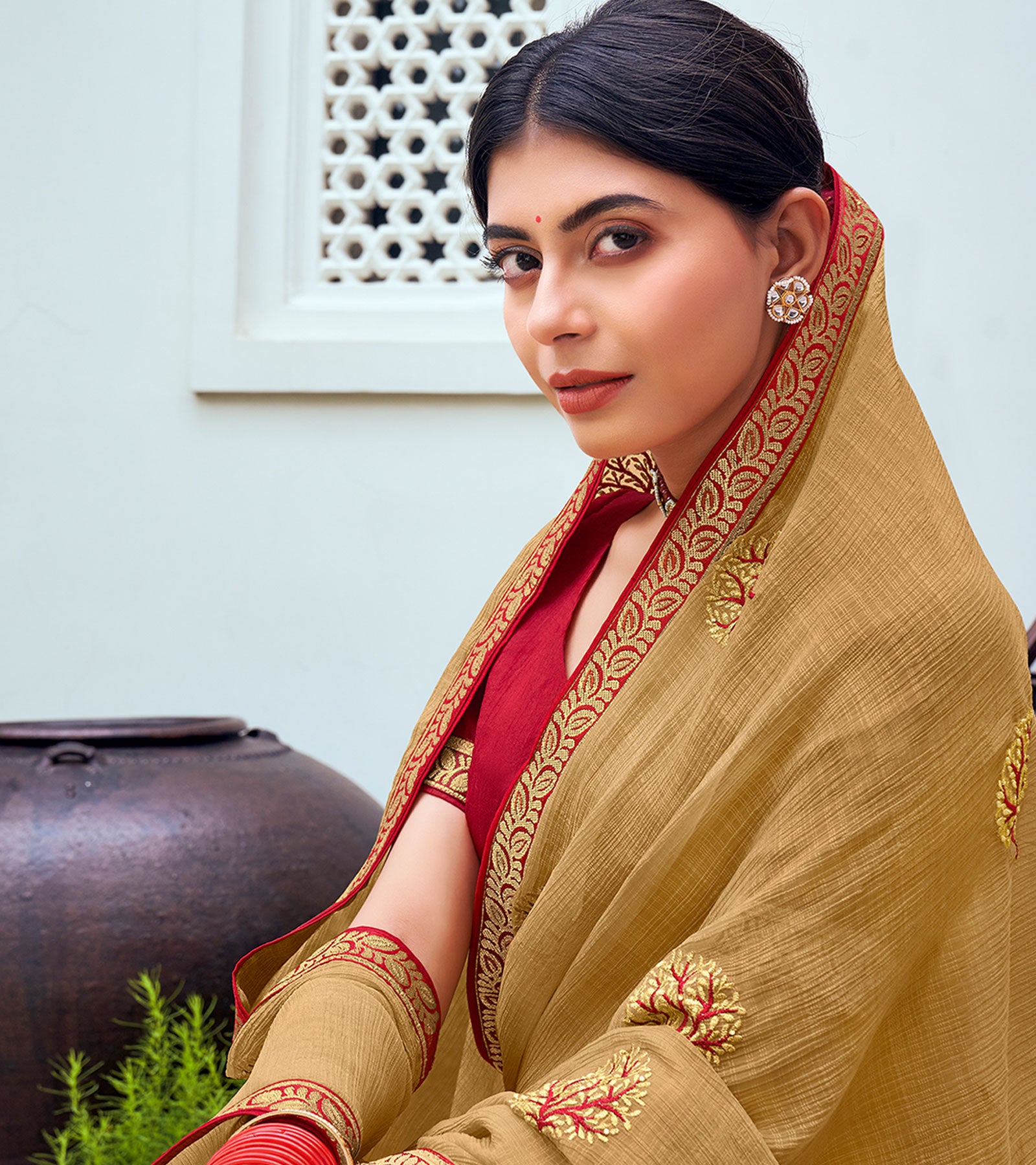 Laxmipati Chiffon Chikoo Zari Embroidery Work Saree