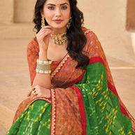 Multicolor Chiffon Saree- Shamli