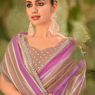 Brown Tissue Organza Saree with Striped Pattern - Angoor