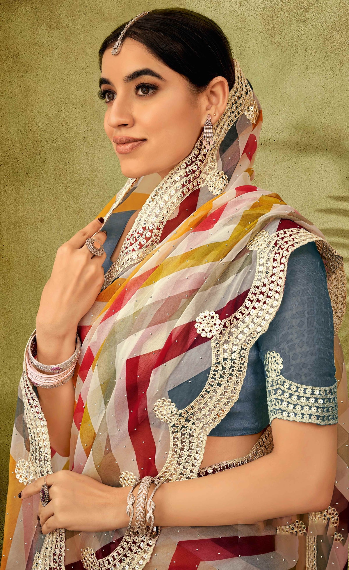 Multicolor Striped Tissue Organza Saree with Embroidered Sequin Border - Angoor