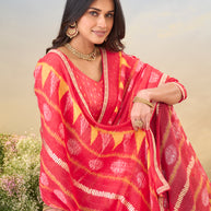 Laxmipati Anaya Pink Chiffon Saree with Geometric Prints