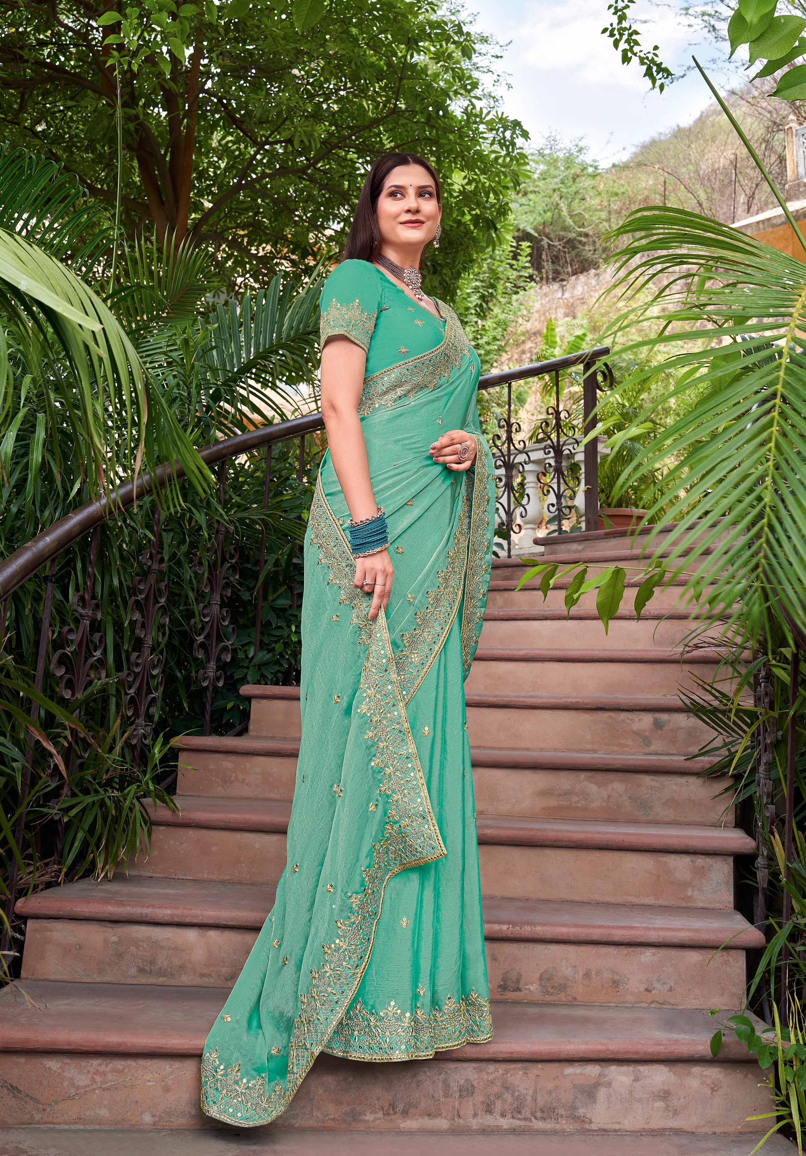 Heavy Sequin Border Saree