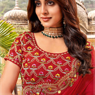 Festive Saree for Women