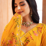ladies saree