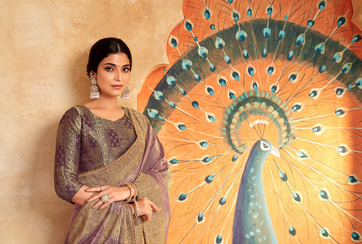 Border work designer saree