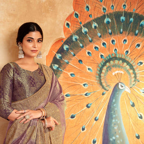 Border work designer saree