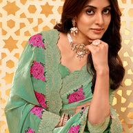 Embroidered border designer saree