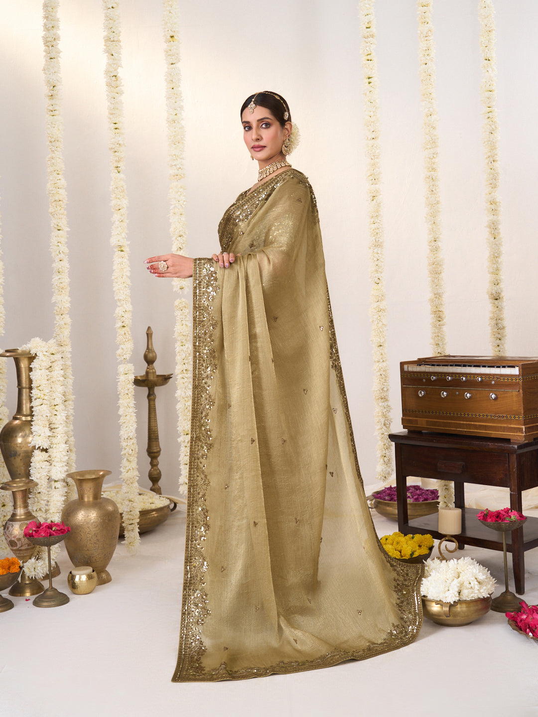 Brown saree with blouse