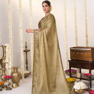 Brown saree with blouse