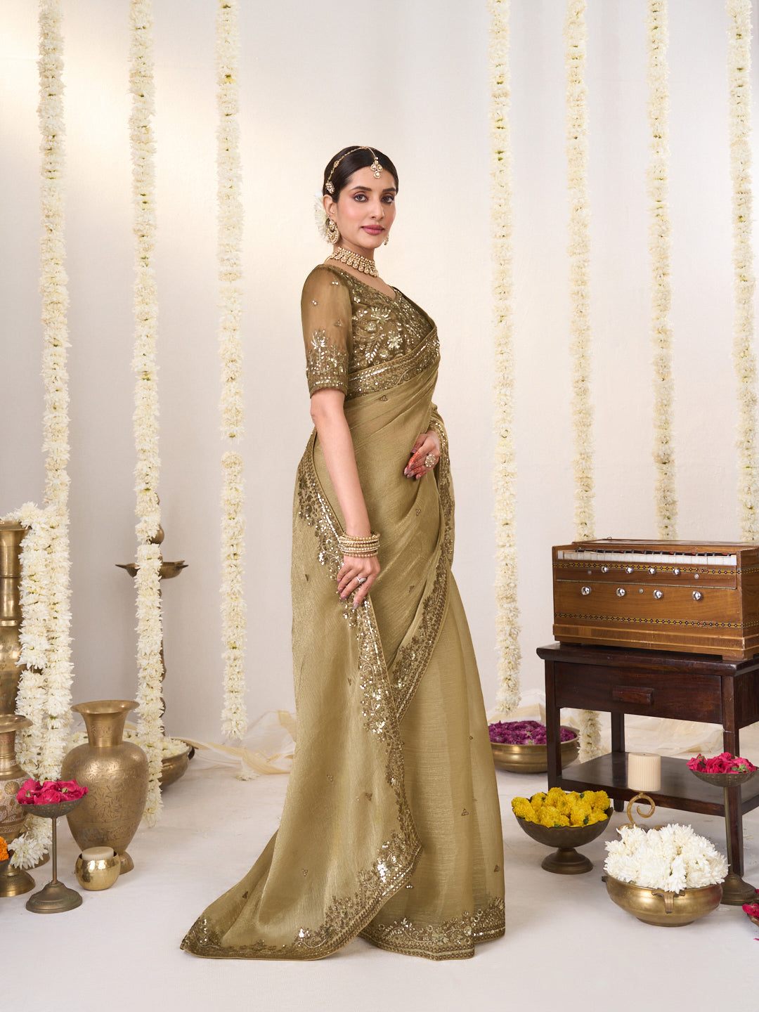 Brown embroidered chiffon saree