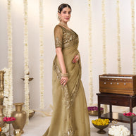 Brown embroidered chiffon saree