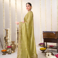 green saree with blouse