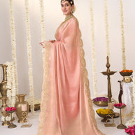 Ethnic embroidery chiffon saree