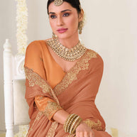 Festive wear embroidered saree