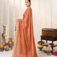 Orange saree with blouse