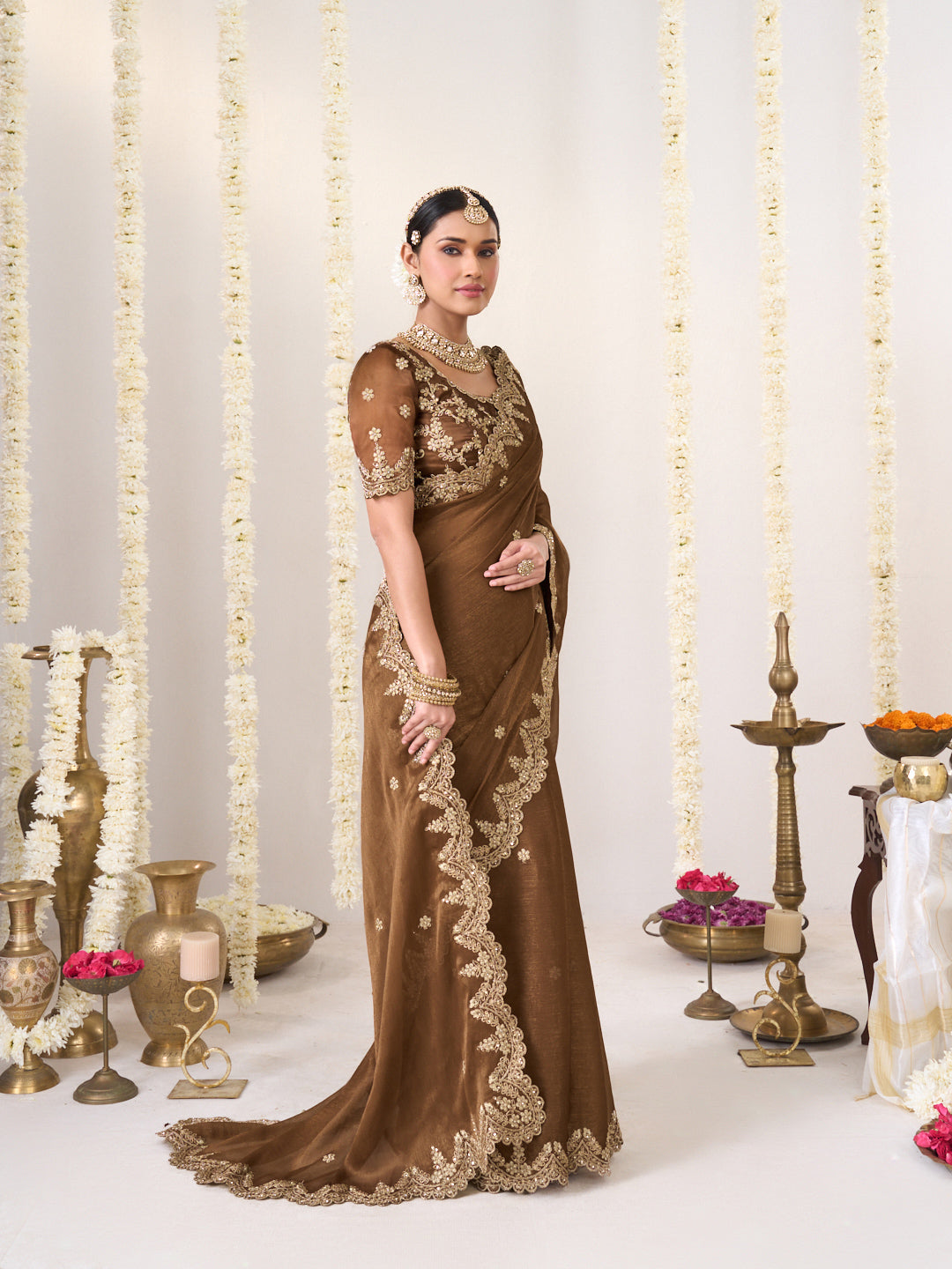 Brown saree with blouse