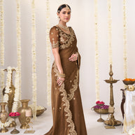 Brown saree with blouse