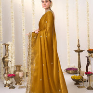 Orange saree with blouse