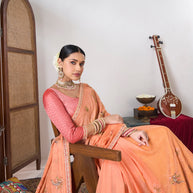 Soft elegant chiffon saree