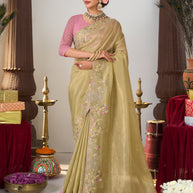 green organza saree