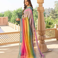 Stripe pattern on georgette saree