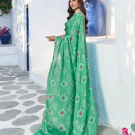 elegant party wear saree