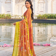 elegant festive saree