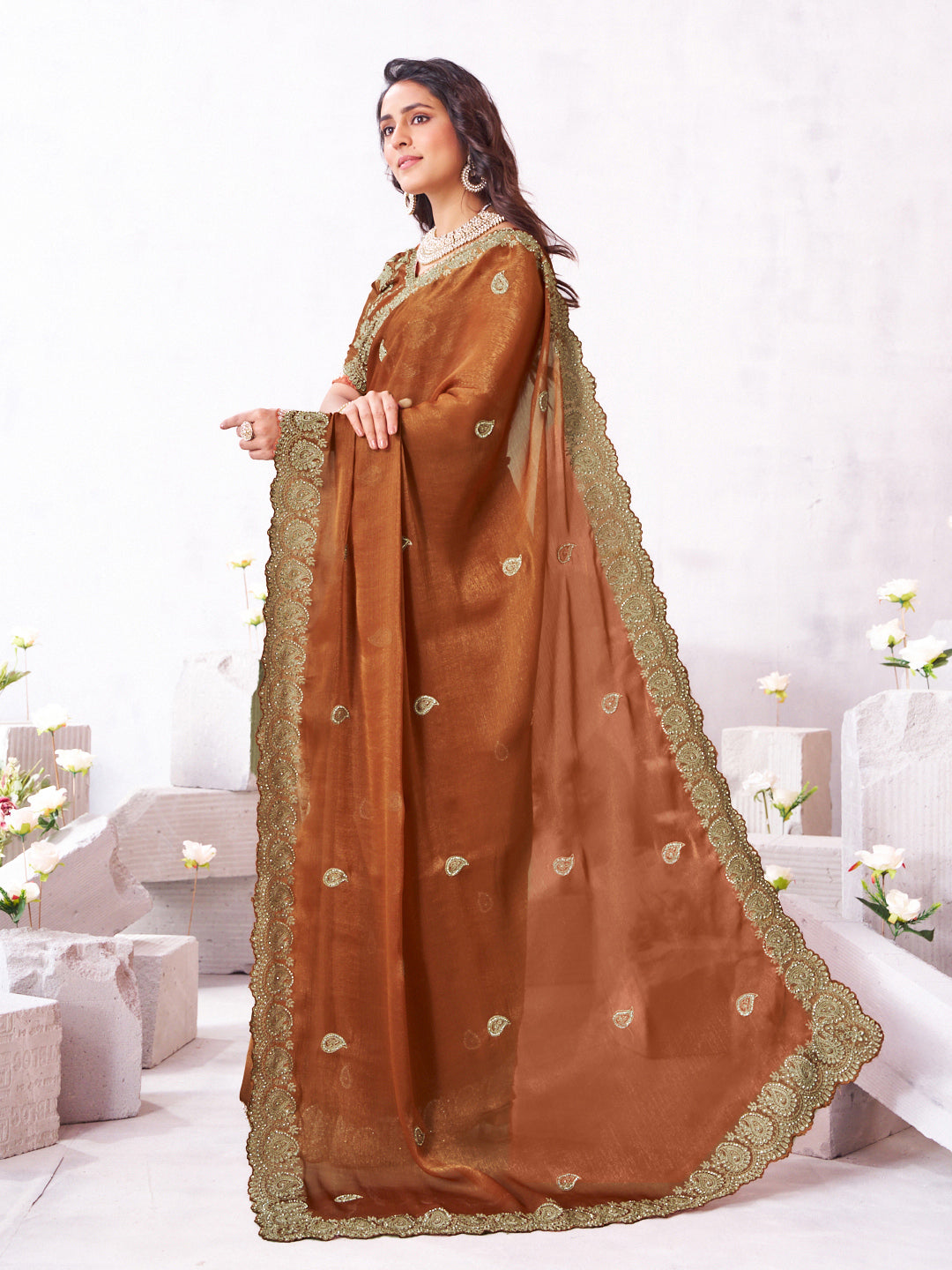 Laxmipati Arpita Brown Chiffon Embroidered Saree