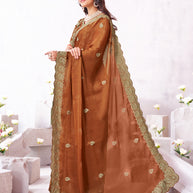 Laxmipati Arpita Brown Chiffon Embroidered Saree