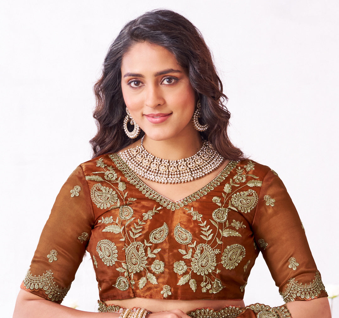 Laxmipati Arpita Brown Chiffon Embroidered Saree