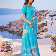 Stylish blue saree