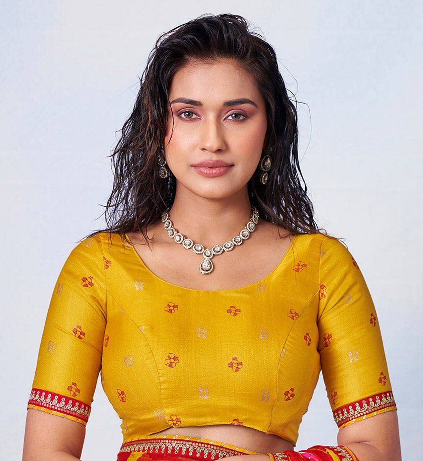 Red scattered motif body with red border featuring gold and silver patterned details chiffon saree ethnic wear