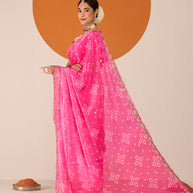 Laxmipati Ruchi Pink Chiffon Embroidered Saree