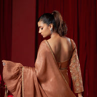 Brown Fancy Blouse Saree