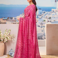 Traditional printed saree