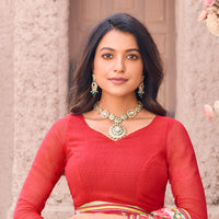 pink saree