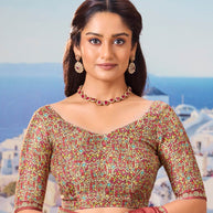 brown saree