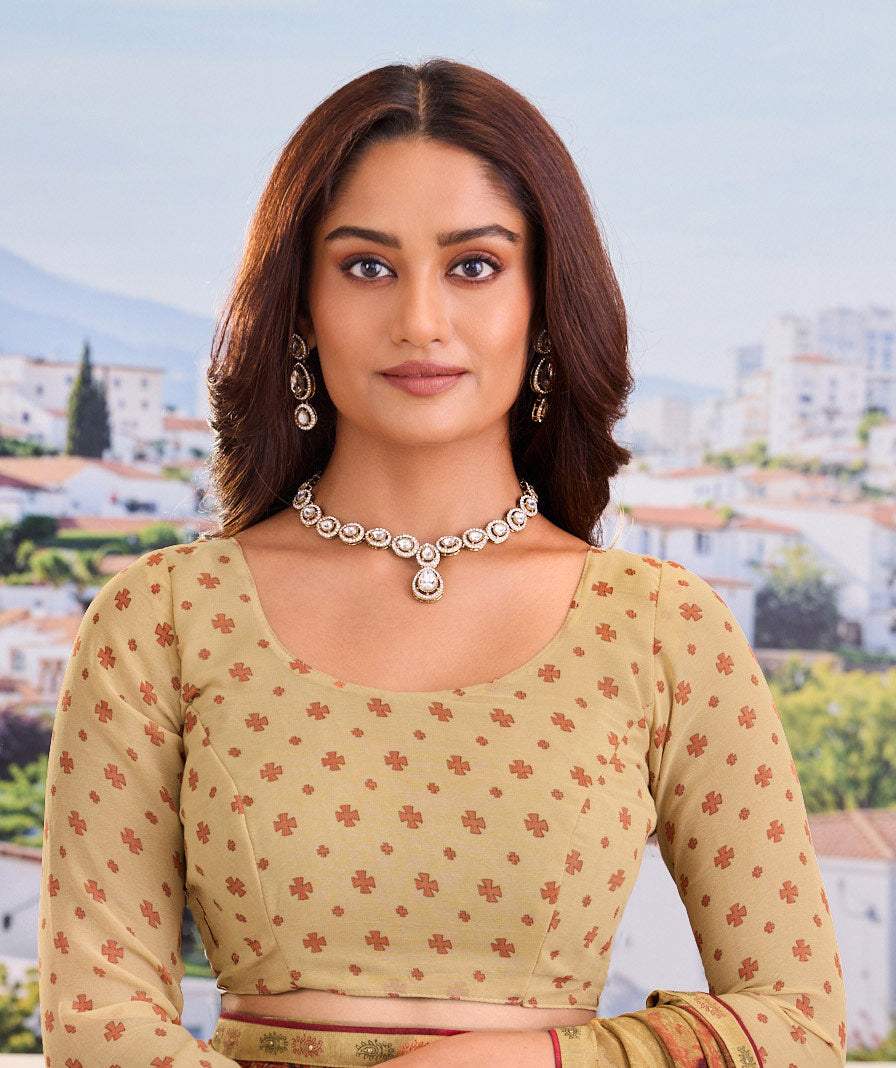 brown saree