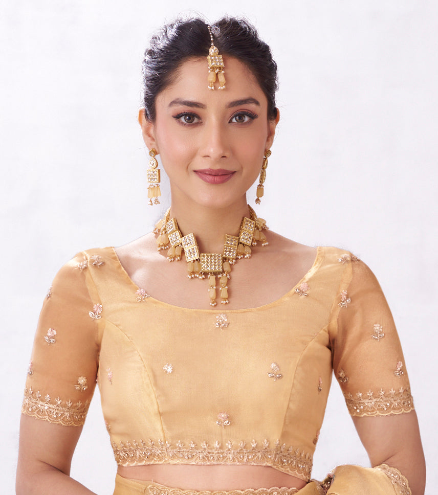 brown saree