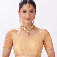 brown saree