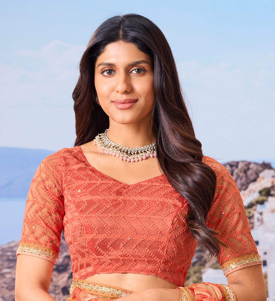 brown saree