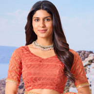 brown saree