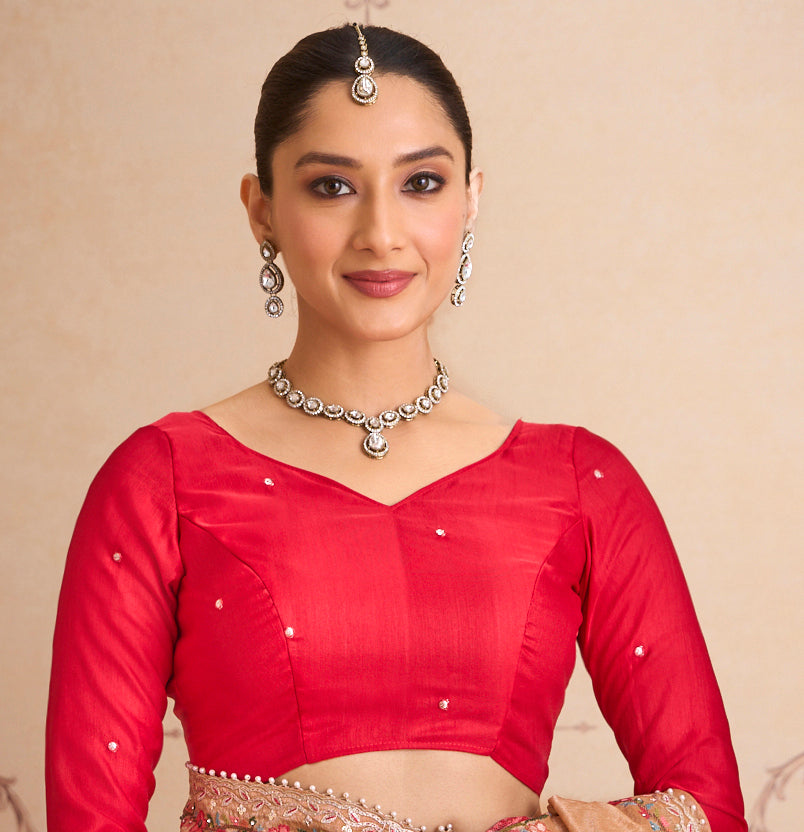 brown colour saree