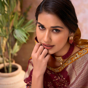 Brown embroidered chiffon saree daily wear