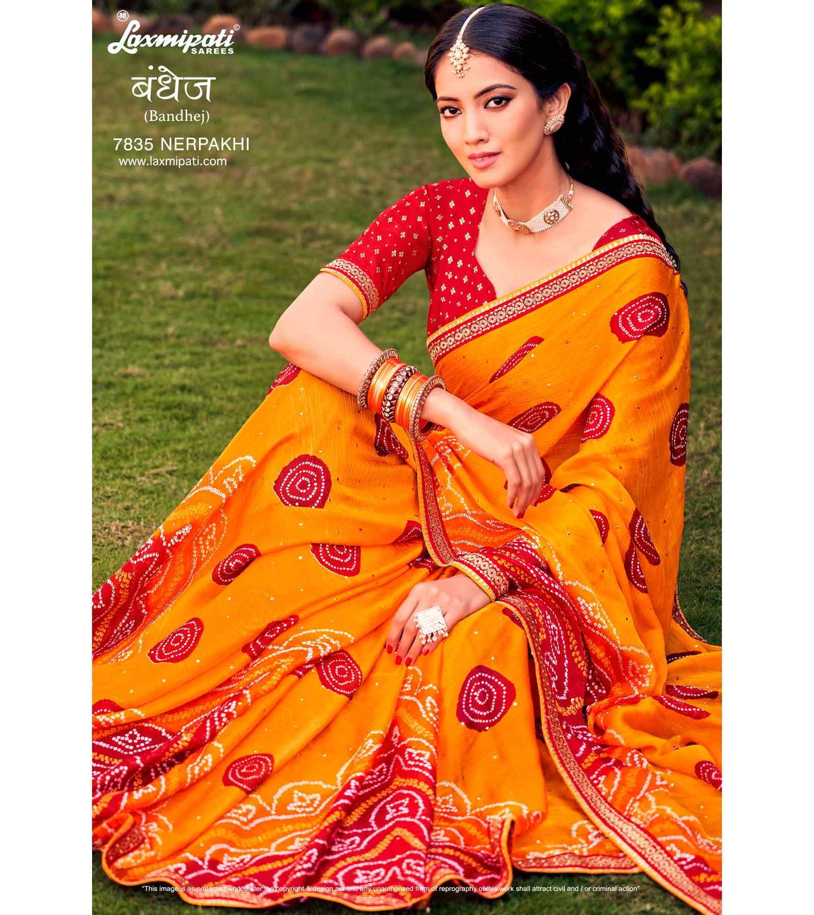 Laxmipati Bandhej 7835 Nerpakhi Chiffon Multicolor Saree